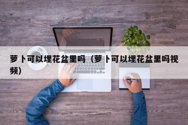 萝卜可以埋花盆里吗（萝卜可以埋花盆里吗视频） 