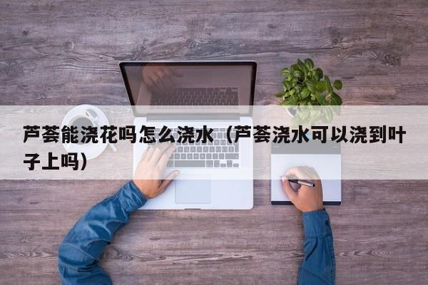 芦荟能浇花吗怎么浇水（芦荟浇水可以浇到叶子上吗） 