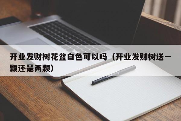 开业发财树花盆白色可以吗（开业发财树送一颗还是两颗） 