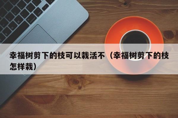 幸福树剪下的枝可以栽活不（幸福树剪下的枝怎样栽） 