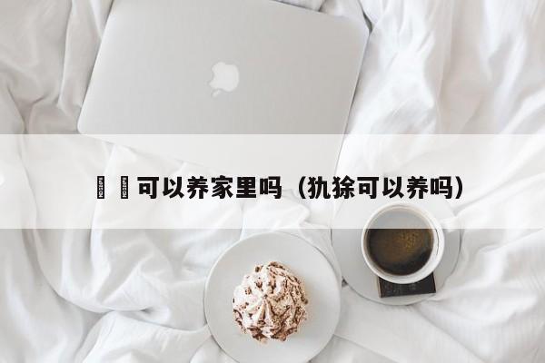 蘡薁可以养家里吗（犰狳可以养吗） 