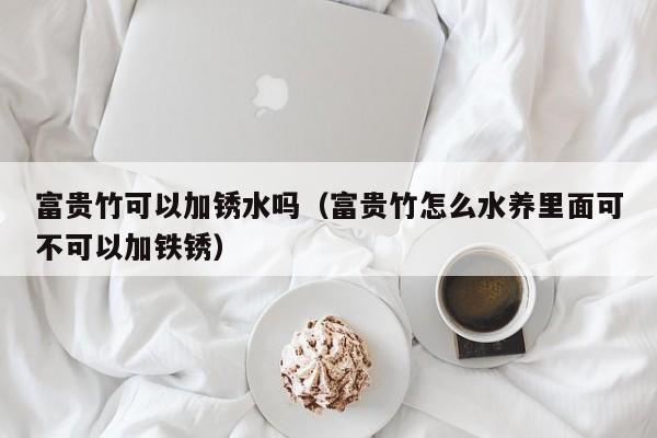 富贵竹可以加锈水吗（富贵竹怎么水养里面可不可以加铁锈） 