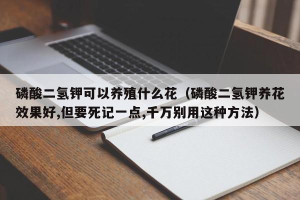 磷酸二氢钾可以养殖什么花（磷酸二氢钾养花效果好,但要死记一点,千万别用这种方法） 