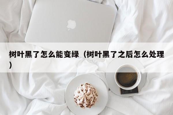 树叶黑了怎么能变绿（树叶黑了之后怎么处理） 