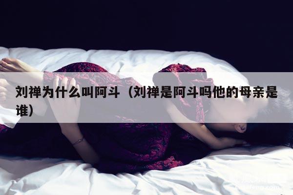 刘禅为什么叫阿斗（刘禅是阿斗吗他的母亲是谁） 