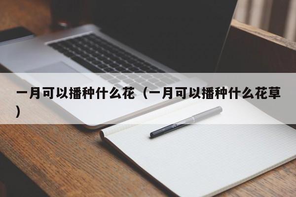 一月可以播种什么花（一月可以播种什么花草） 