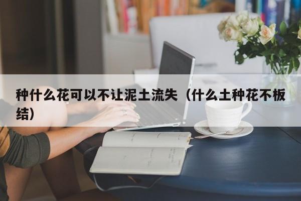 种什么花可以不让泥土流失（什么土种花不板结） 