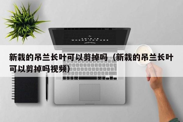 新栽的吊兰长叶可以剪掉吗（新栽的吊兰长叶可以剪掉吗视频） 