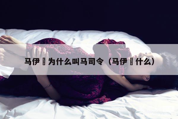 马伊琾为什么叫马司令（马伊琍什么） 