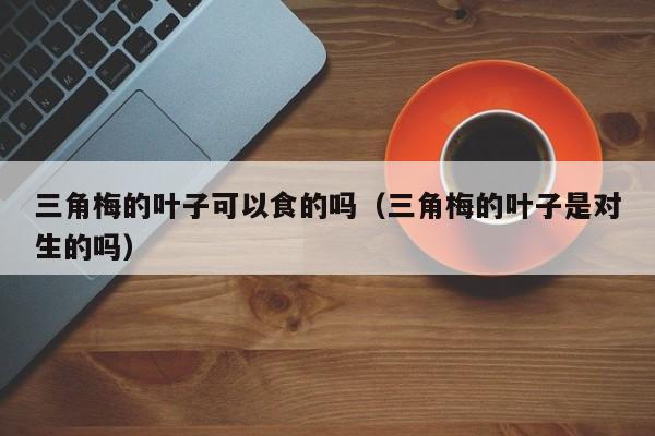 三角梅的叶子可以食的吗（三角梅的叶子是对生的吗） 