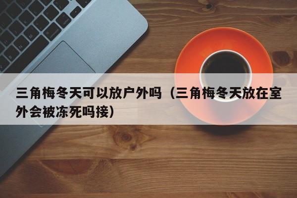 三角梅冬天可以放户外吗（三角梅冬天放在室外会被冻死吗接） 