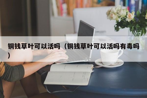 铜钱草叶可以活吗（铜钱草叶可以活吗有毒吗） 