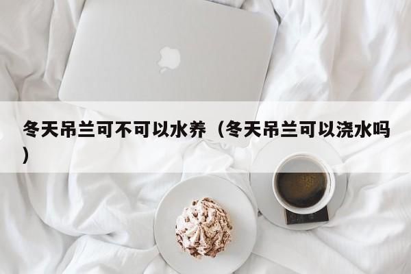 冬天吊兰可不可以水养（冬天吊兰可以浇水吗） 