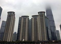 徐枫(徐枫灿高清图片)