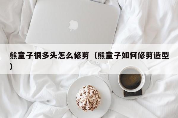 熊童子很多头怎么修剪（熊童子如何修剪造型） 