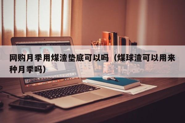 网购月季用煤渣垫底可以吗（煤球渣可以用来种月季吗） 