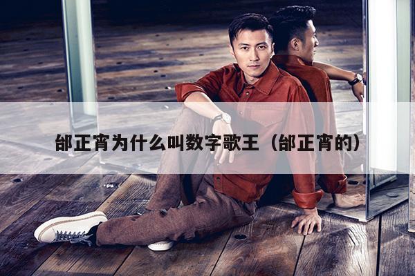 邰正宵为什么叫数字歌王（邰正宵的） 