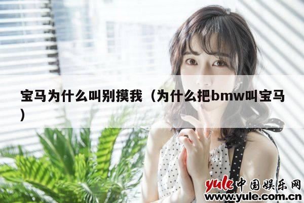 宝马为什么叫别摸我（为什么把bmw叫宝马） 