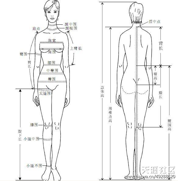 腿长从哪量正确图解图片