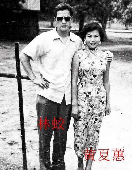 黄夏蕙整容前后对比照片(黄夏蕙素颜照年轻照片)