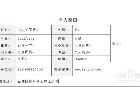 个人资料(个人资料怎么查)