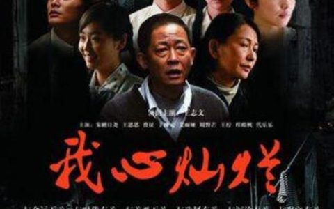 王志文主演电视剧(王志文主演电视剧王道)