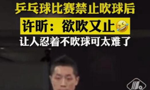 许昕欲吹又止樊振东欲摸又止(许昕欲吹又止是哪场比赛)