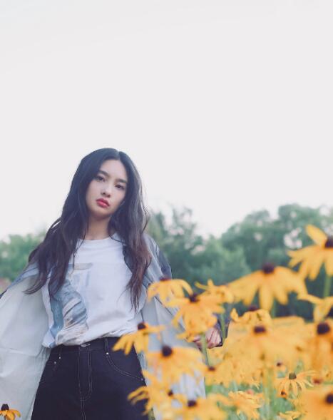 王可如向佐怎么认识的(王可如与向太)