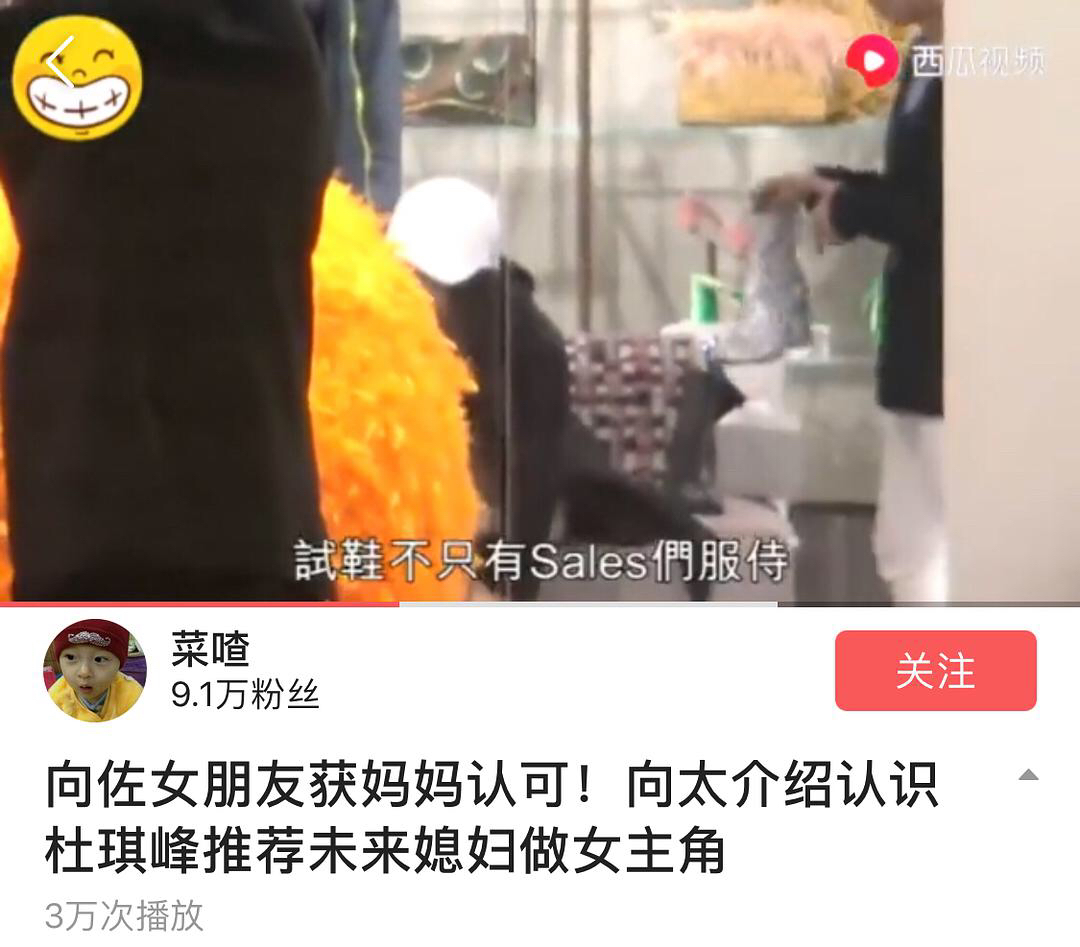 王可如向佐怎么认识的(王可如与向太)