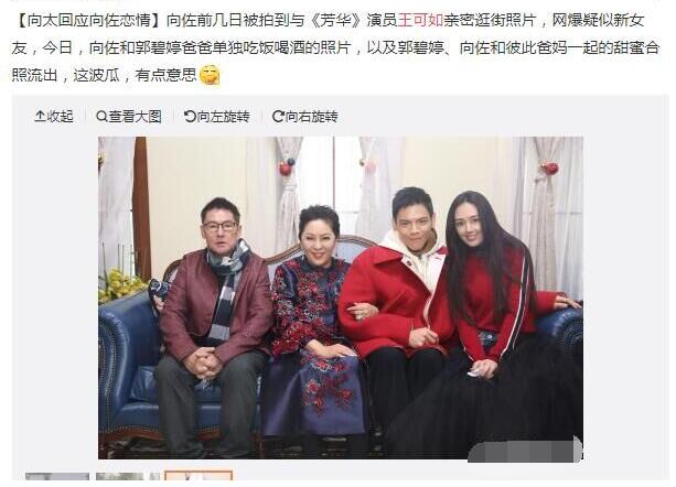 王可如向佐怎么认识的(王可如与向太)
