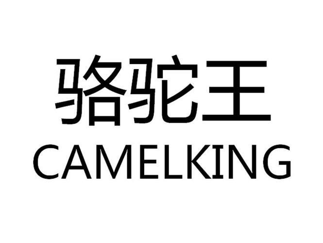 歌手骆驼KinG1个人资料(分享)