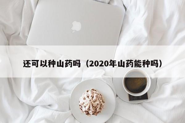 还可以种山药吗（2020年山药能种吗） 