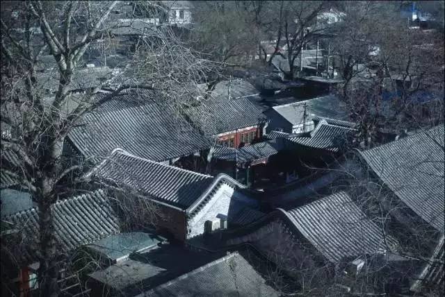 陈丽华是慈禧的什么人和溥仪什么关系 她为