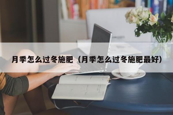 月季怎么过冬施肥（月季怎么过冬施肥最好） 