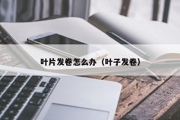 叶片发卷怎么办（叶子发卷） 