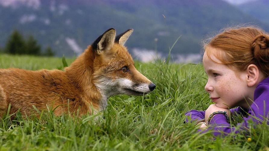 狐狸和孩子，狐狸与孩子的故事(必知)