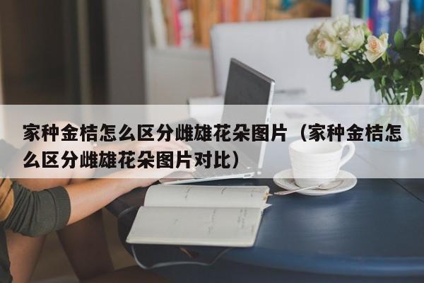 家种金桔怎么区分雌雄花朵图片（家种金桔怎么区分雌雄花朵图片对比） 