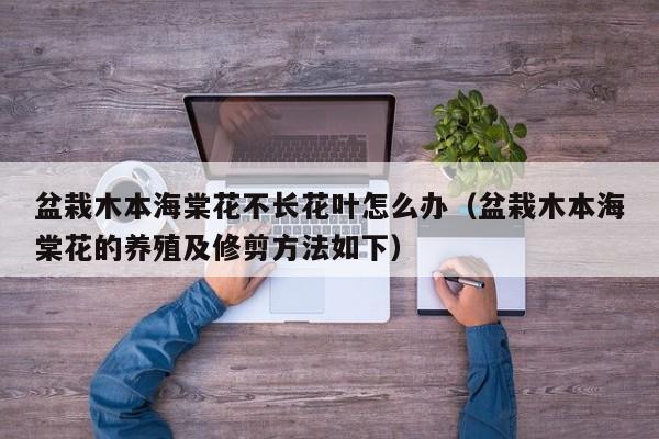 盆栽木本海棠花不长花叶怎么办（盆栽木本海棠花的养殖及修剪方法如下） 