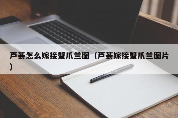 芦荟怎么嫁接蟹爪兰图（芦荟嫁接蟹爪兰图片） 