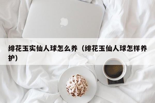 绯花玉实仙人球怎么养（绯花玉仙人球怎样养护） 