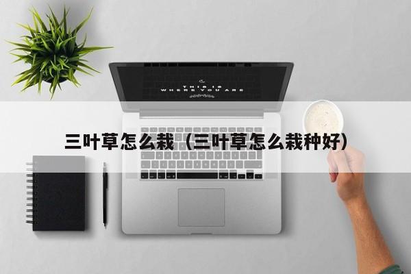 三叶草怎么栽（三叶草怎么栽种好） 