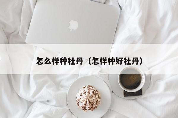 怎么样种牡丹（怎样种好牡丹） 