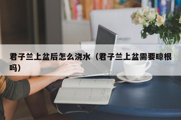 君子兰上盆后怎么浇水（君子兰上盆需要晾根吗） 