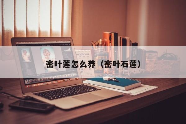 密叶莲怎么养（密叶石莲） 