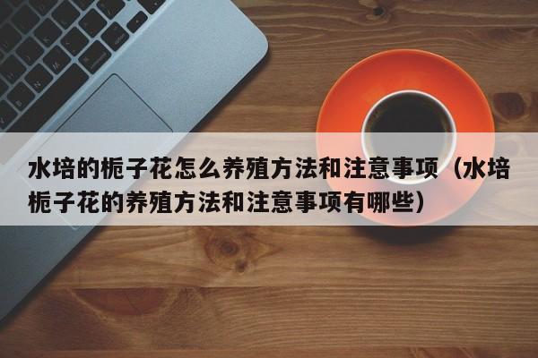 水培的栀子花怎么养殖方法和注意事项（水培栀子花的养殖方法和注意事项有哪些） 