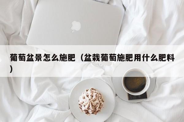 葡萄盆景怎么施肥（盆栽葡萄施肥用什么肥料） 