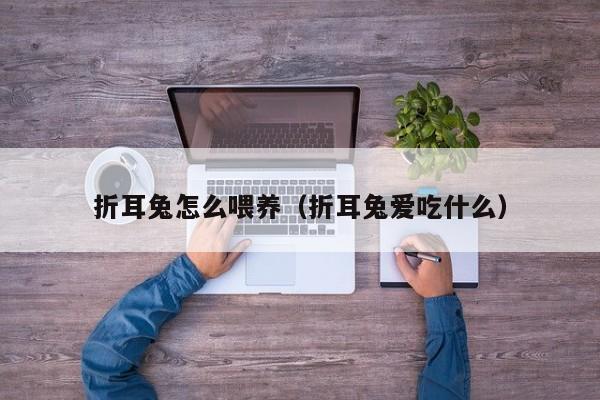 折耳兔怎么喂养（折耳兔爱吃什么） 