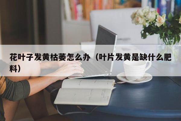 花叶子发黄枯萎怎么办（叶片发黄是缺什么肥料） 