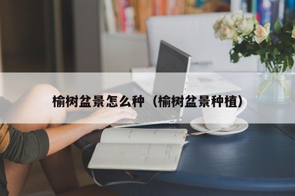 榆树盆景怎么种（榆树盆景种植） 