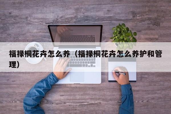 福禄桐花卉怎么养（福禄桐花卉怎么养护和管理） 